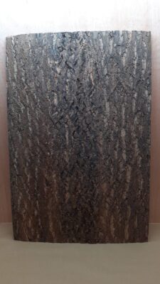 Cork Bark Background Panel 90x60cm - 18