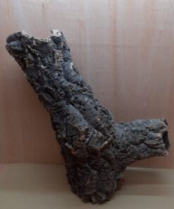 Large Cork Tube - 60-80cm - 11