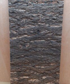 Cork Bark Background Panel 30x60cm - 19