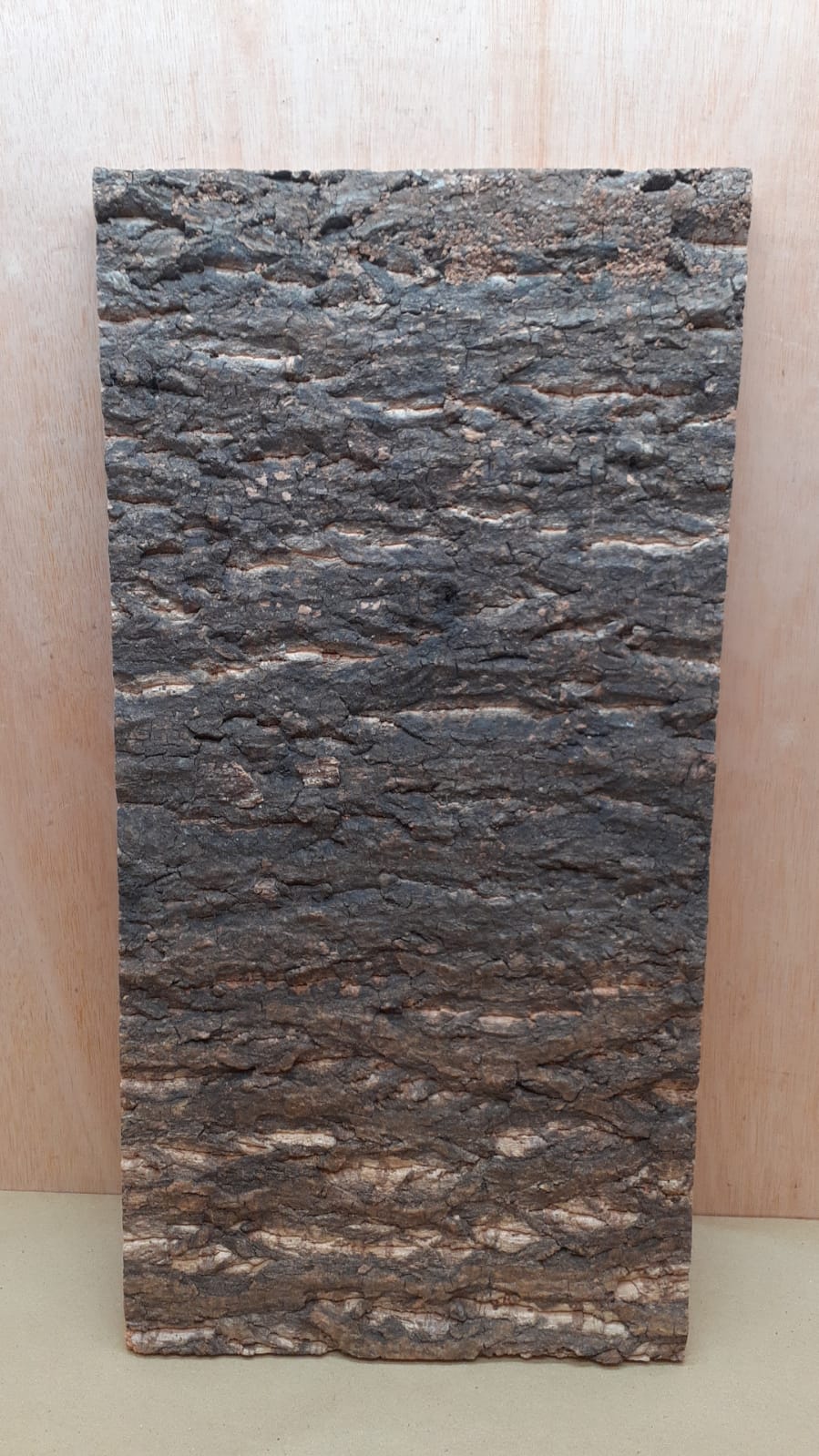 Cork Bark Background Panel 30x60cm - 19