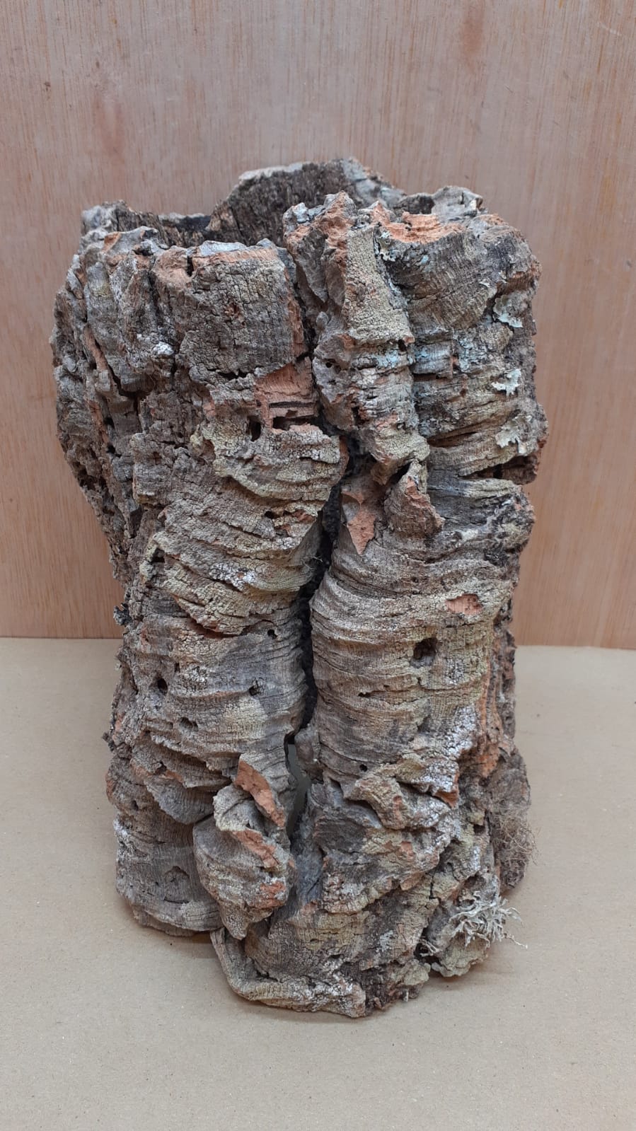 Medium Cork Tube - Upto 40cm - 25