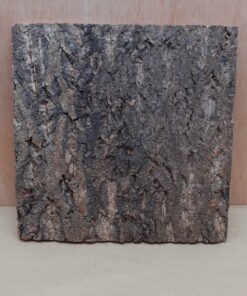 Cork Bark Background Panel 30x30cm - 18