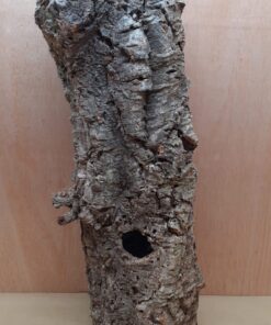 Large Cork Tube - 60-80cm - 13