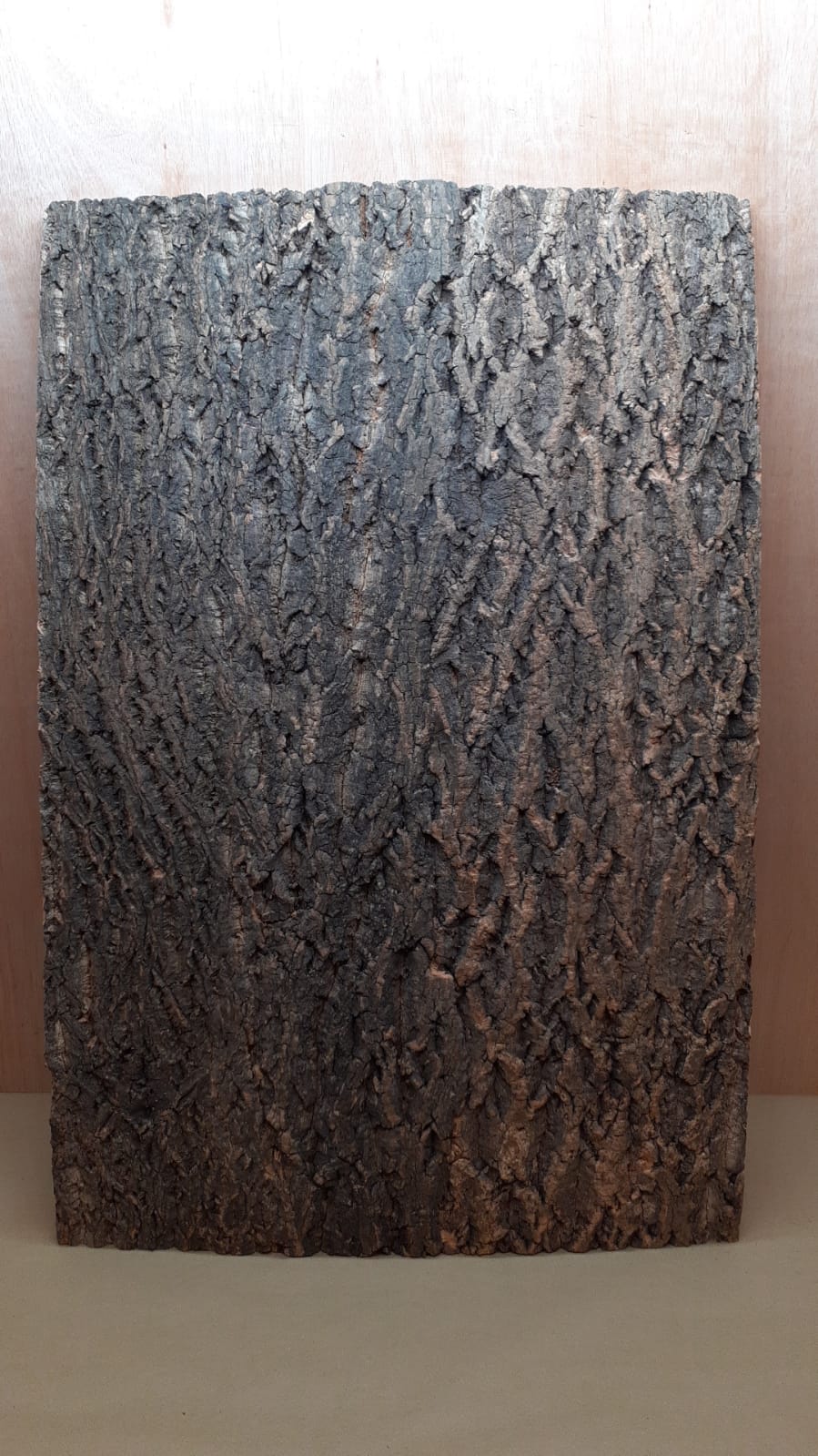 Cork Bark Background Panel 90x60cm - 16