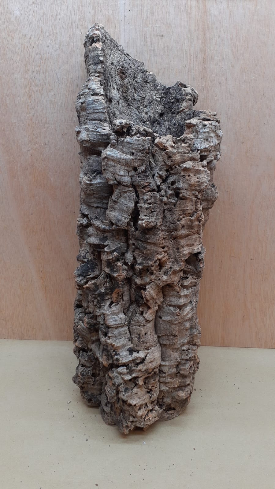 Large Cork Tube - 40-60cm - 11