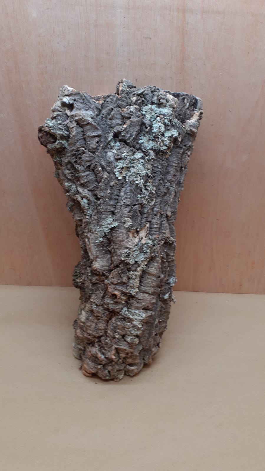 Large Cork Tube - 40-60cm - 13