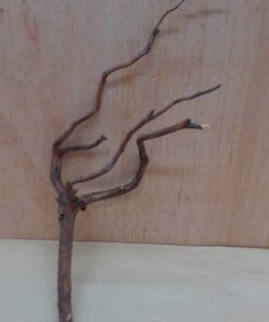 Moorwood - Small 13
