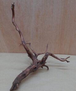 Moorwood - Medium 11