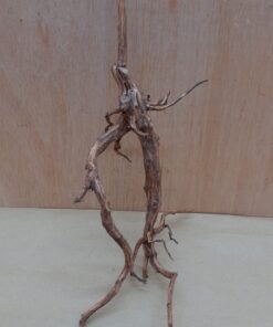 Moorwood - Medium 12