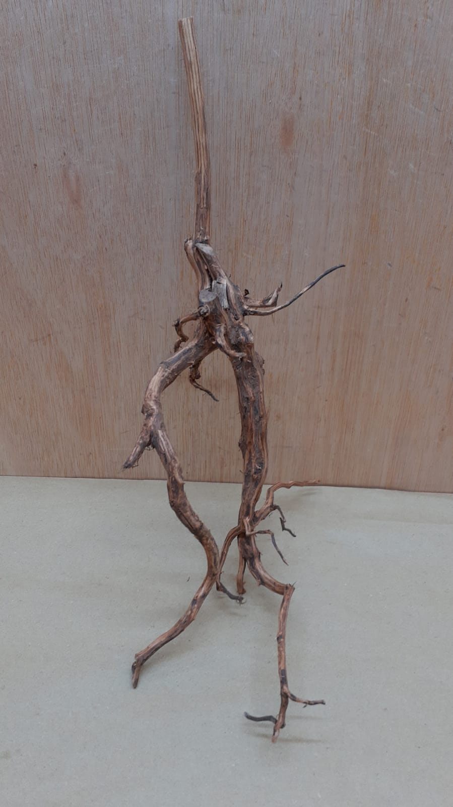 Moorwood - Medium 12