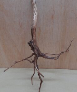 Moorwood - Medium 13
