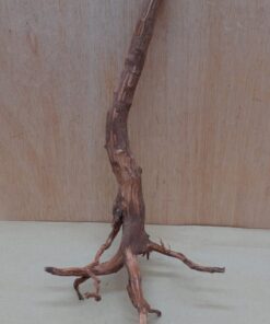 Moorwood - Medium 19