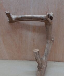 Java Wood - Double Stem - Small 18