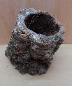 Medium Cork Tube - Upto 40cm - 21