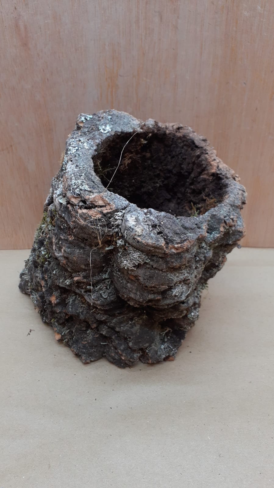 Medium Cork Tube - Upto 40cm - 21