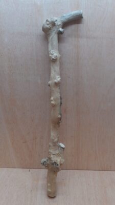 Java Wood - Single Stem - XL 14