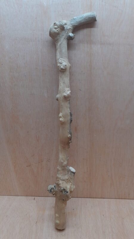 Java Wood - Single Stem - XL 14