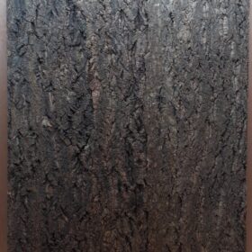 Cork Bark Background Panel 90x60cm - 19