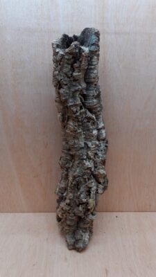Medium Cork Tube - 40-60cm - 21