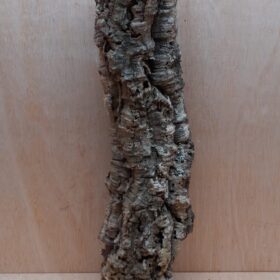 Medium Cork Tube - 40-60cm - 21