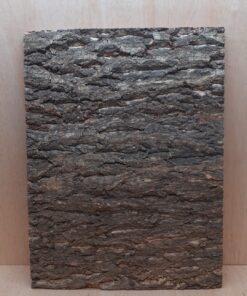 Cork Bark Background Panel 45x60cm - 12