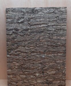 Cork Bark Background Panel 45x60cm - 20