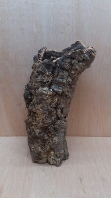 Medium Cork Tube - 40-60cm - 26