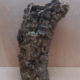 Medium Cork Tube - 40-60cm - 26