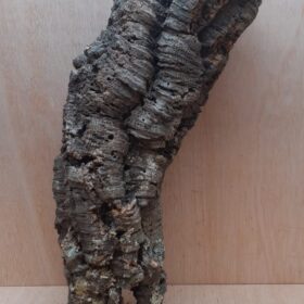 Medium Cork Tube - 40-60cm - 28