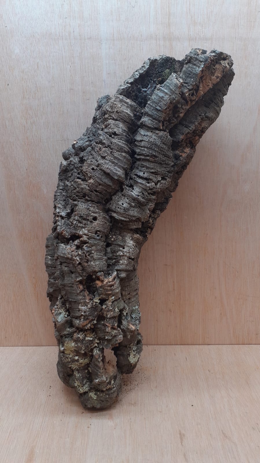 Medium Cork Tube - 40-60cm - 28