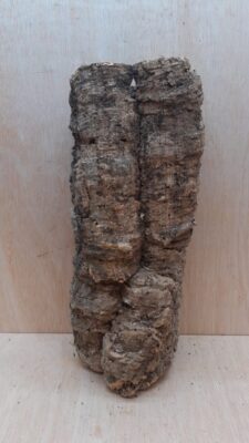 Medium Cork Tube - 40-60cm - 30