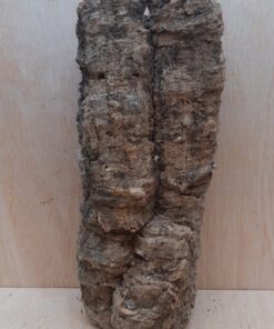 Medium Cork Tube - 40-60cm - 30