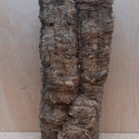 Medium Cork Tube - 40-60cm - 30