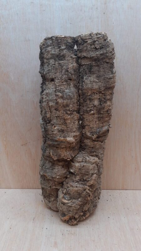 Medium Cork Tube - 40-60cm - 30