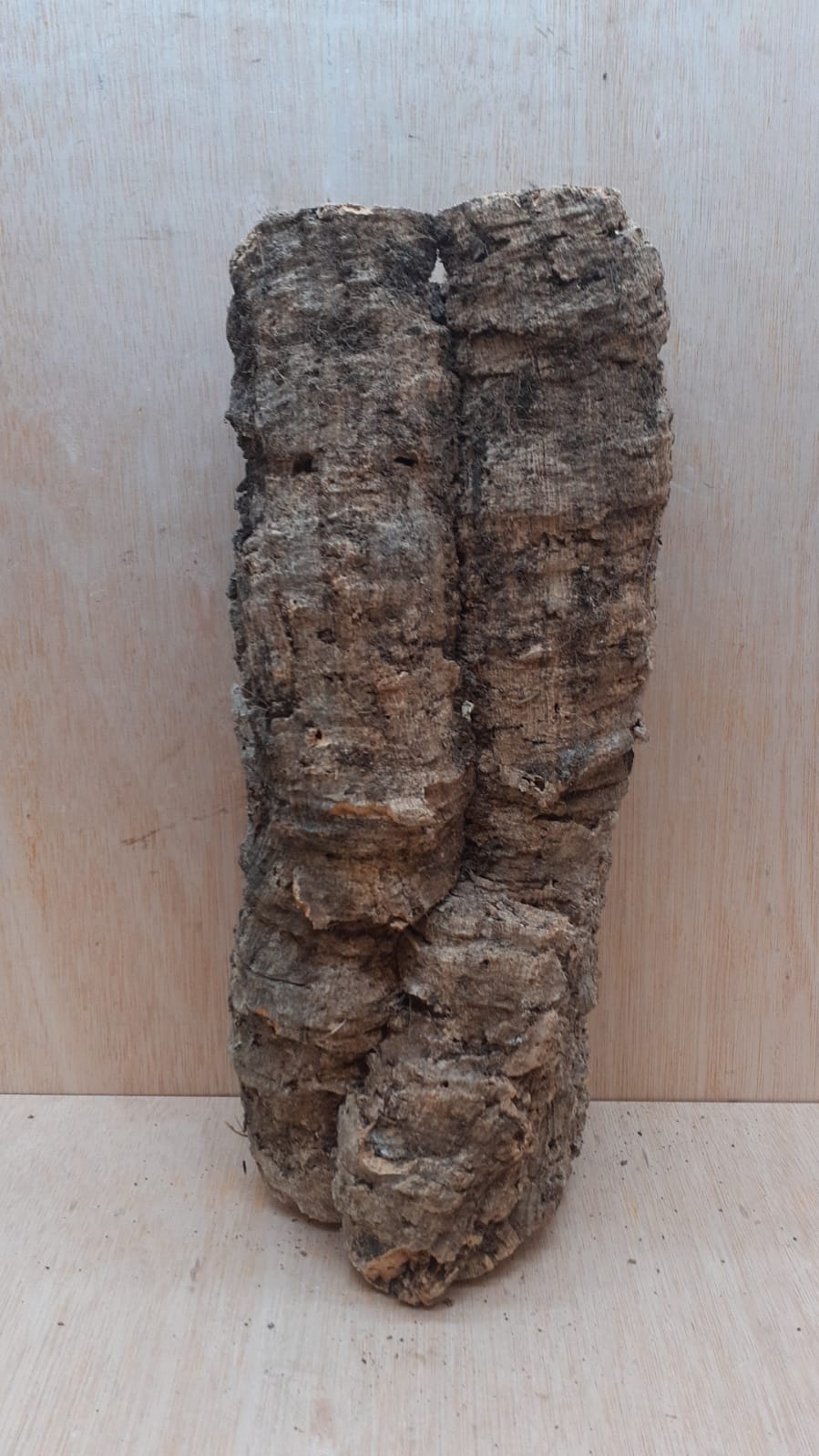 Medium Cork Tube - 40-60cm - 30