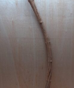 Straight Liana 4-5cm - Long - 17