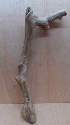 Java Wood - Single Stem - XL 16
