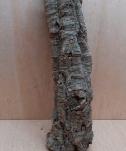 Medium Cork Tube - 40-60cm - 25