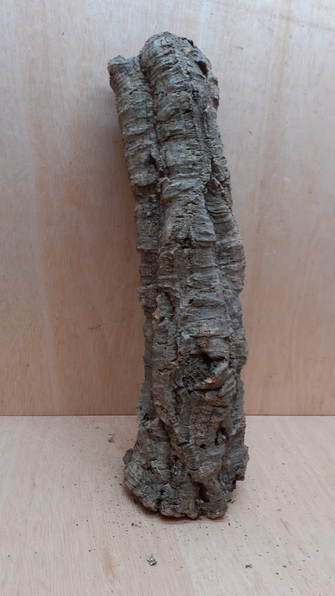 Medium Cork Tube - 40-60cm - 25