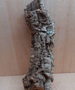 Medium Cork Tube - 40-60cm - 29