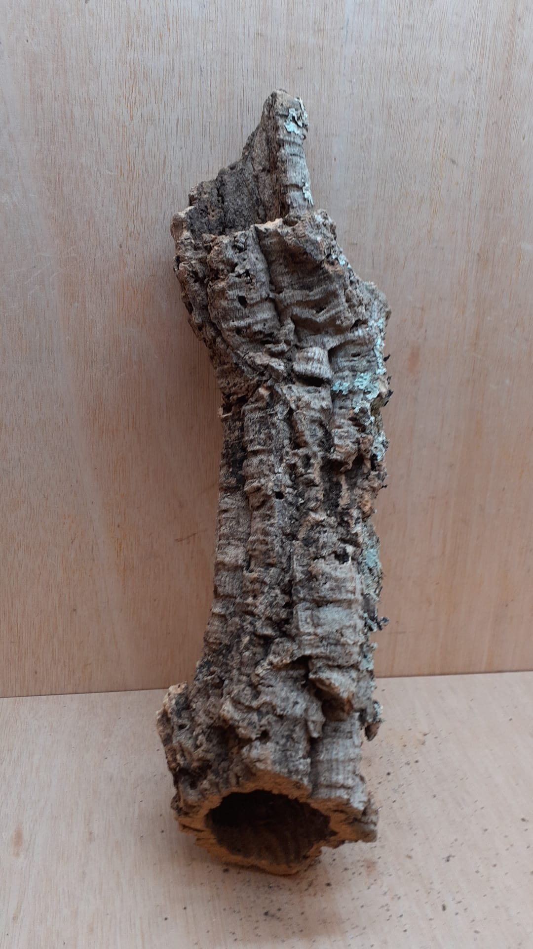 Medium Cork Tube - 40-60cm - 29