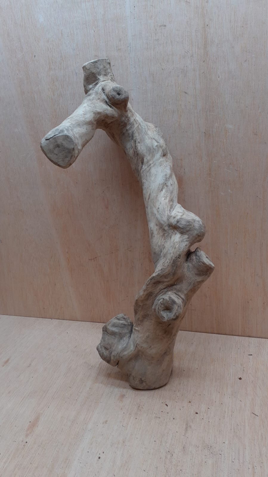 Java Wood - Single Stem - XL 11