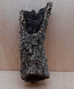 Medium Cork Tube - 40-60cm - 22