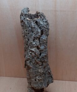 Medium Cork Tube - 40-60cm - 24
