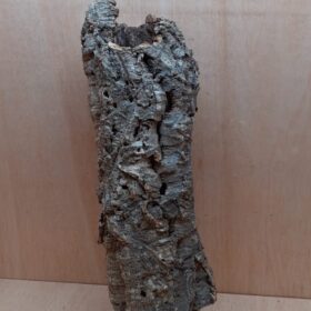 Medium Cork Tube - 40-60cm - 24