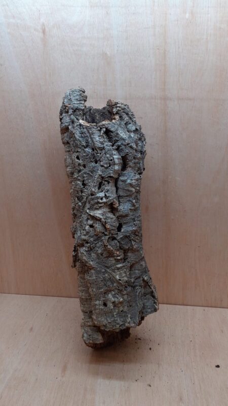 Medium Cork Tube - 40-60cm - 24