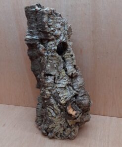 Medium Cork Tube - 40-60cm - 27