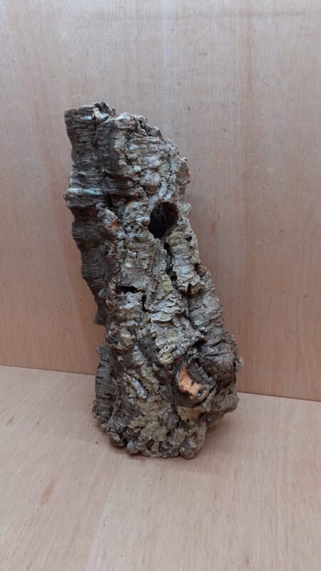 Medium Cork Tube - 40-60cm - 27