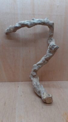 Java Wood - Single Stem - XL 11