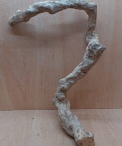 Java Wood - Single Stem - XL 11